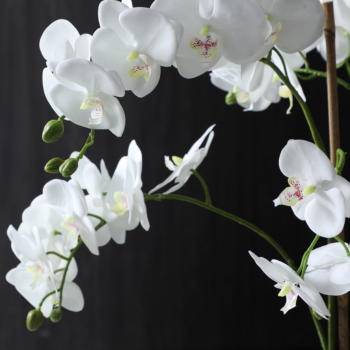 Sia Lena composition orchidée artificielle blanc vase doré