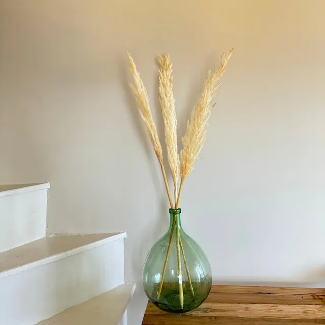Flowrette Fleurs séchées Herbe pampa blanche lot x3