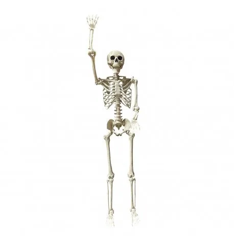 Feuillazur Rungis squelette articulé géant déco Halloween