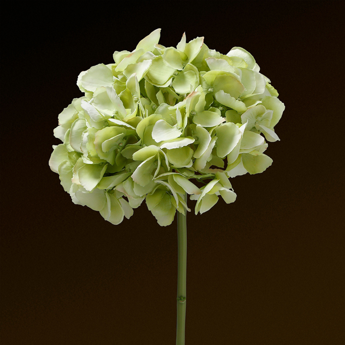 Sia Home Hortensia Premium tige artificielle rose 48 cm