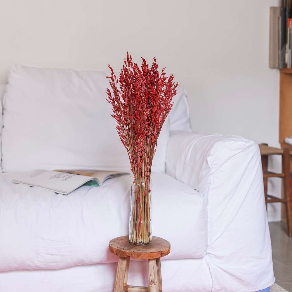 Flowrette Avoine rouge fleurs séchées botte x1