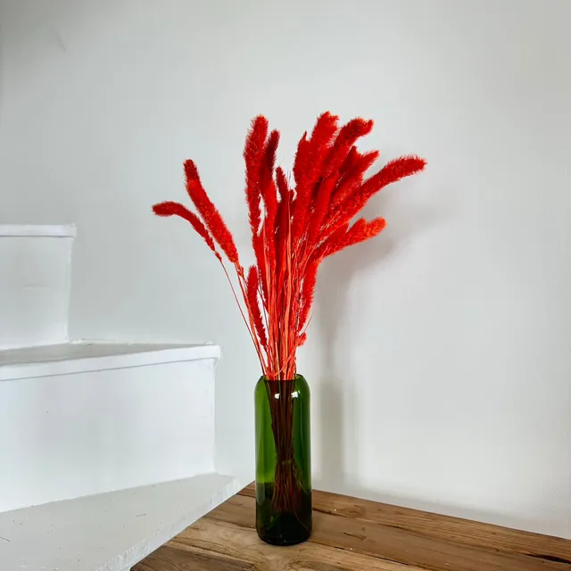 Flowrette Botte sétaire orange foncé séchée x1 herbe déco vase