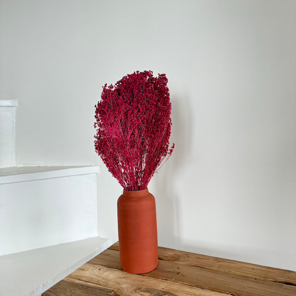 Flowrette botte broom bloom fleurs séchées bordeaux x1
