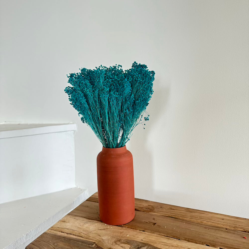 Flowrette Broom Bloom Turquoise Fleur Séchée Botte x1
