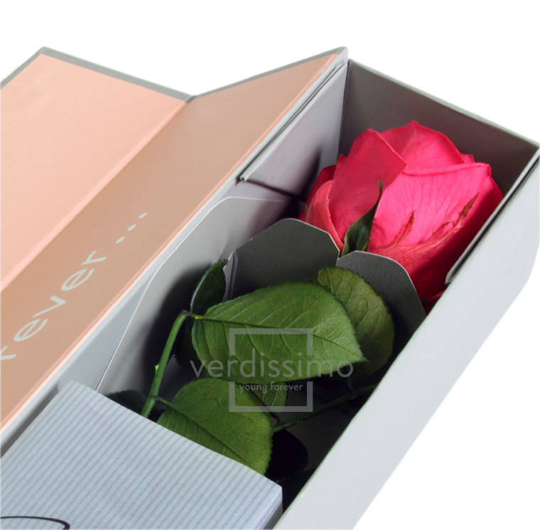Feuillazur Rungis Stabilisés Rose stabilisée premium+ rouge 54 cm