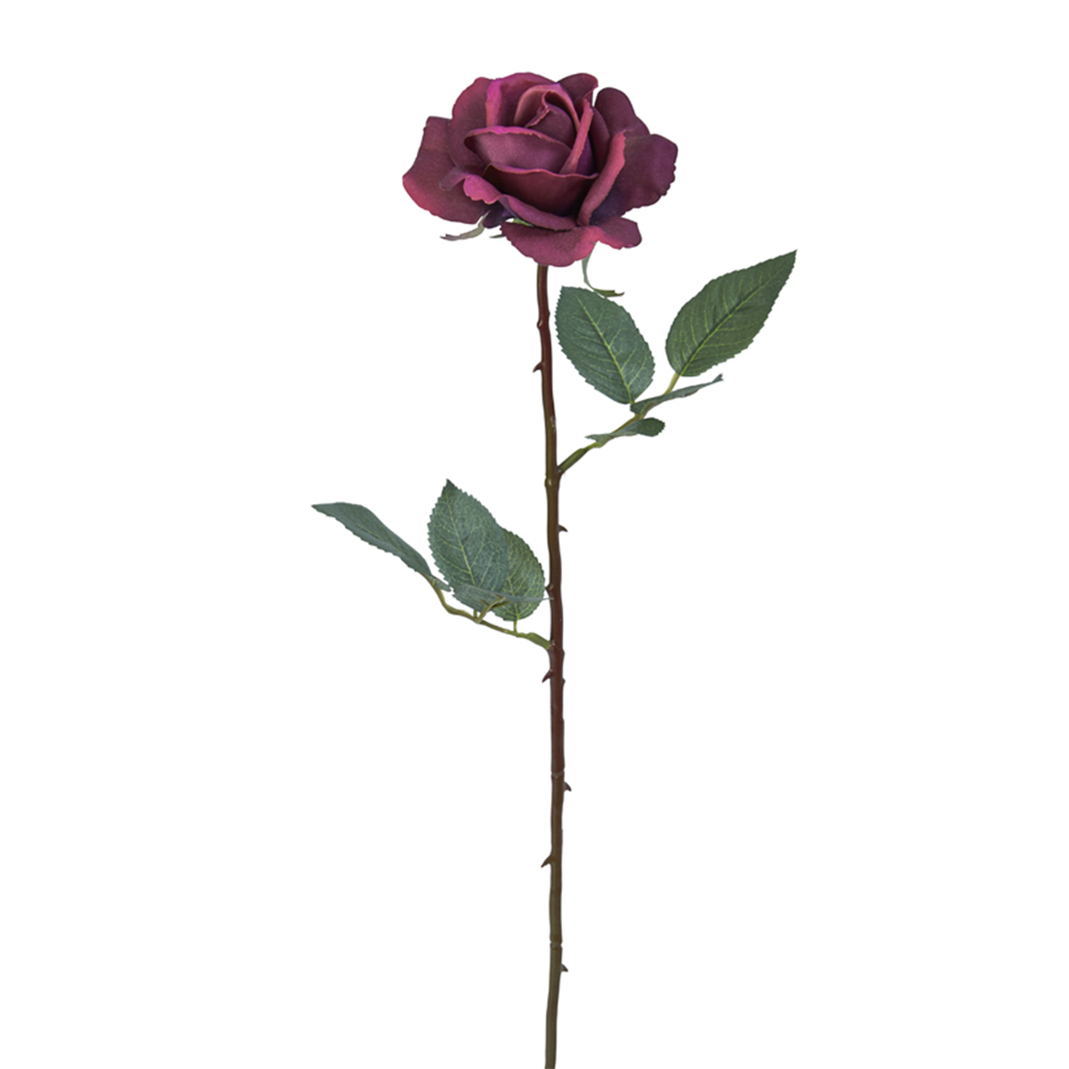 Sia Home Tiges de Fleurs artificielles Sophia rose 65 cm