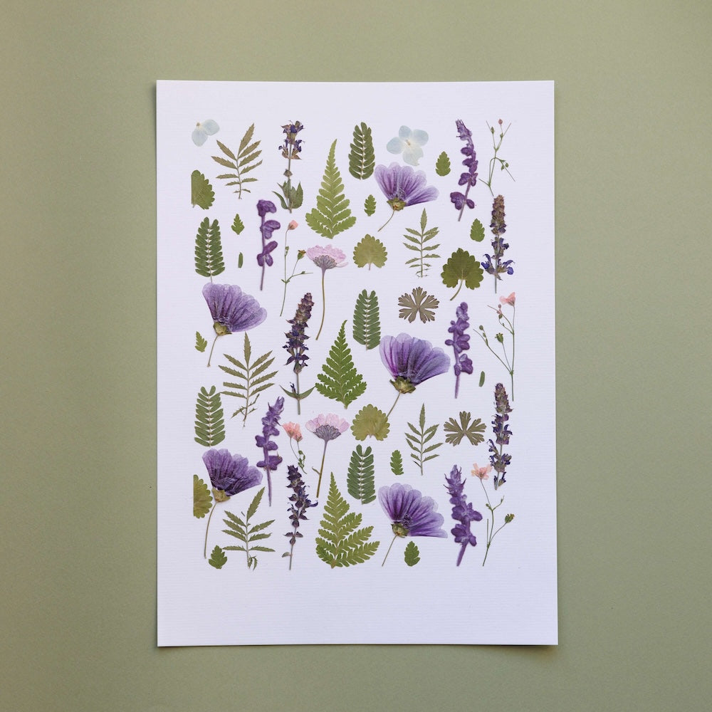 Flowrette Symphonie Végétale herbier A4 pressé