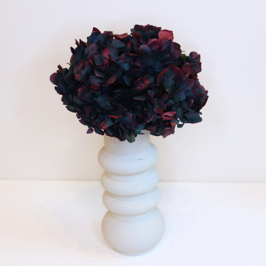 Ateliers Ouchamp Tête Hortensia bicolore blanc rose