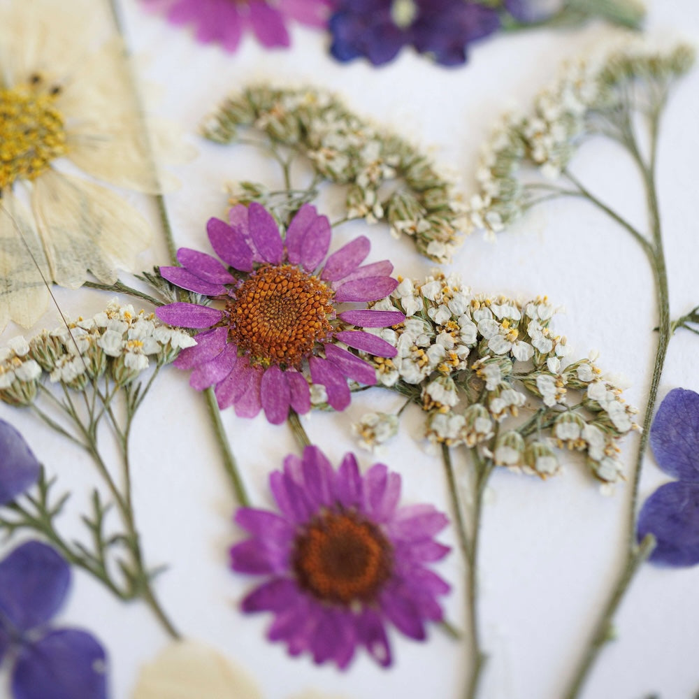 Flowrette Herbier Bouquet d'Été A3 herbier fleurs séchées