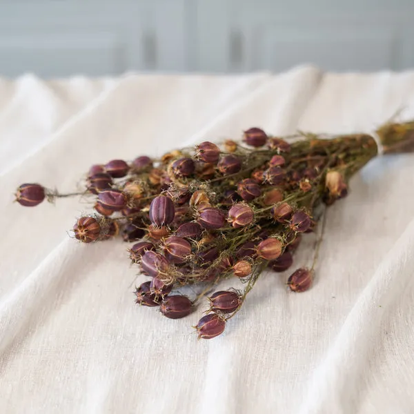 Flowrette Fleurs séchées Nigelle de Damas botte séchée rouge