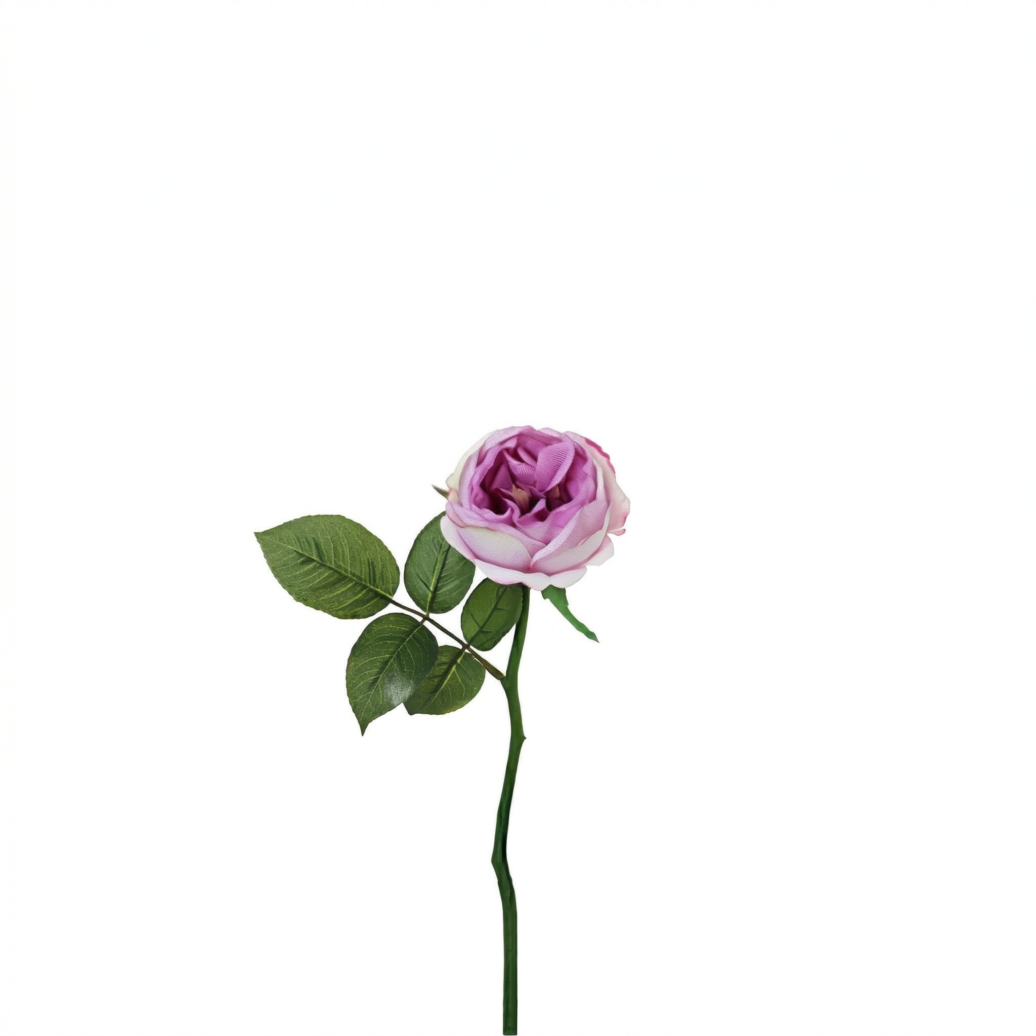 Sia Home Tige Rose Maria Waterproof 32 cm rose mauve