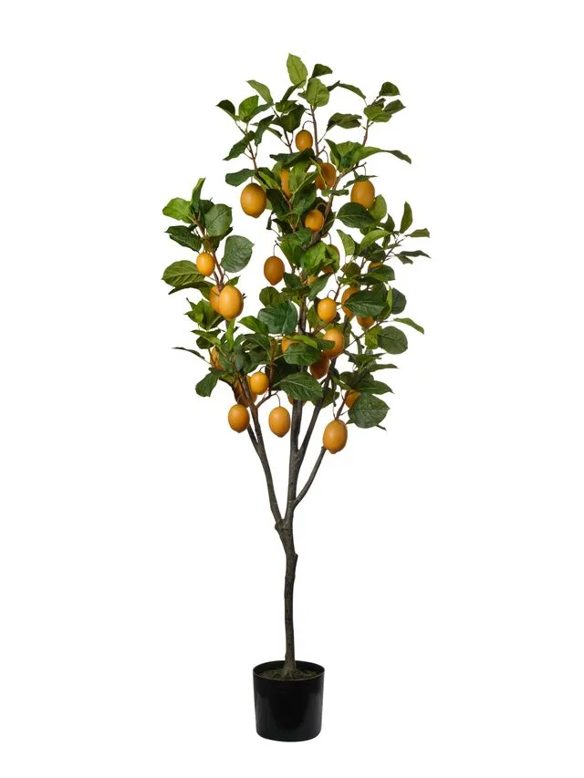 Feuillazur Rungis Citronnier plante artificielle 190cm