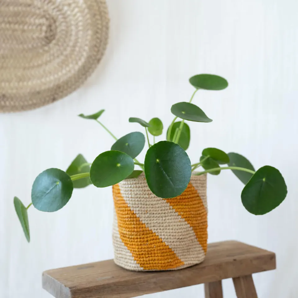 Flowrette Décoration cache-pot raphia Sarika 14 cm
