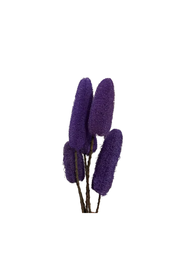 Feuillazur Luffa fleur séchée violet décor naturel