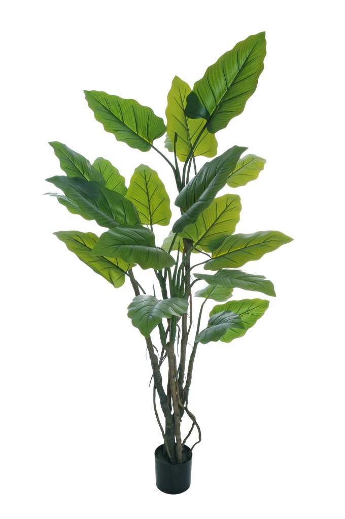 Feuillazur Rungis Taro plante artificielle verte 120cm