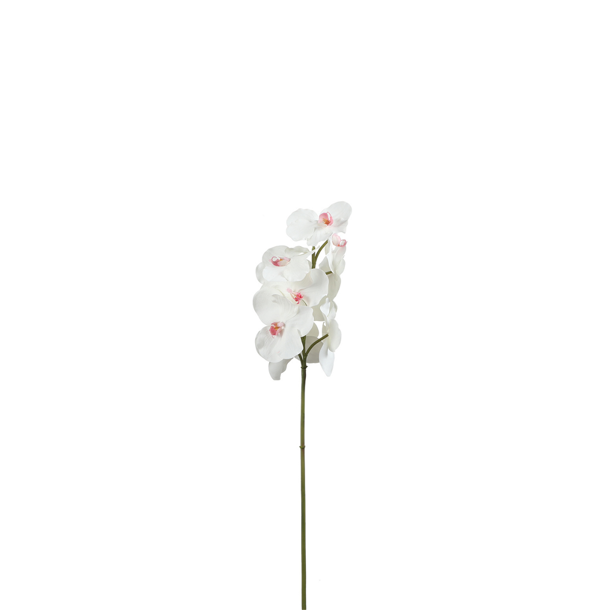 Sia Home Tige Orchidée Bandailan 60 cm blanc rose fleur