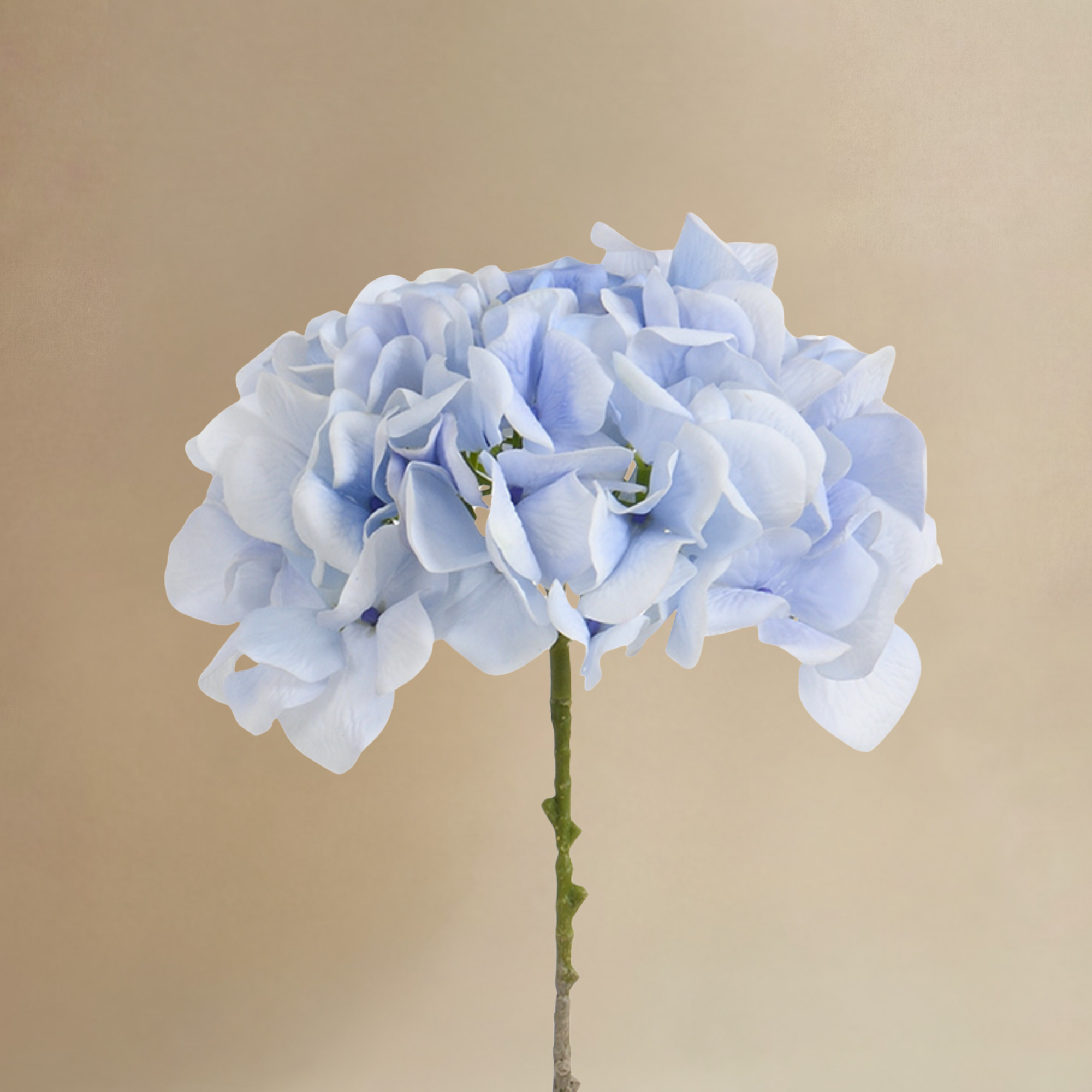 Sia Hortensia bouquet artificiel bleu 12 tiges 63 cm