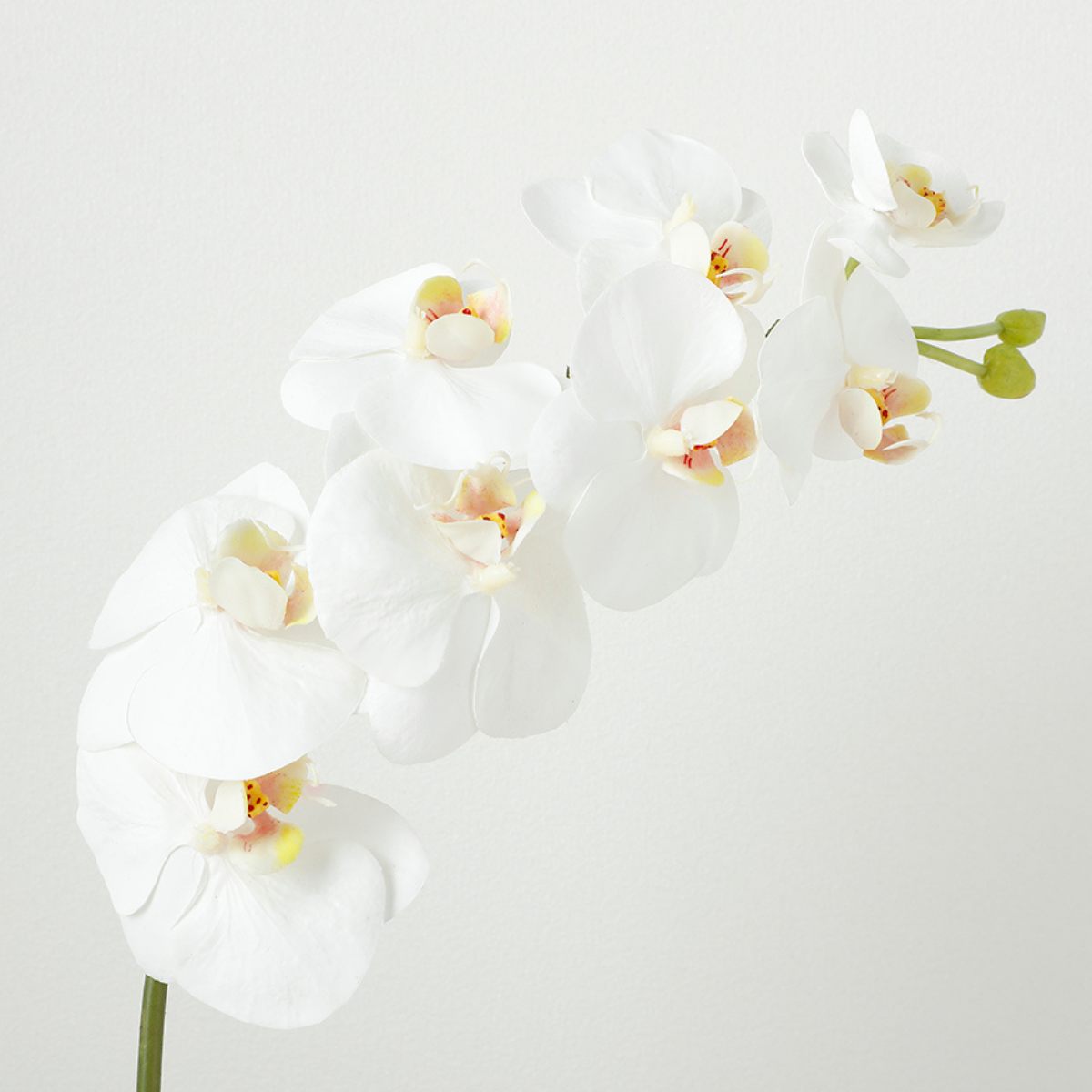 Sia Home Orchidée tige artificielle blanche 72 cm