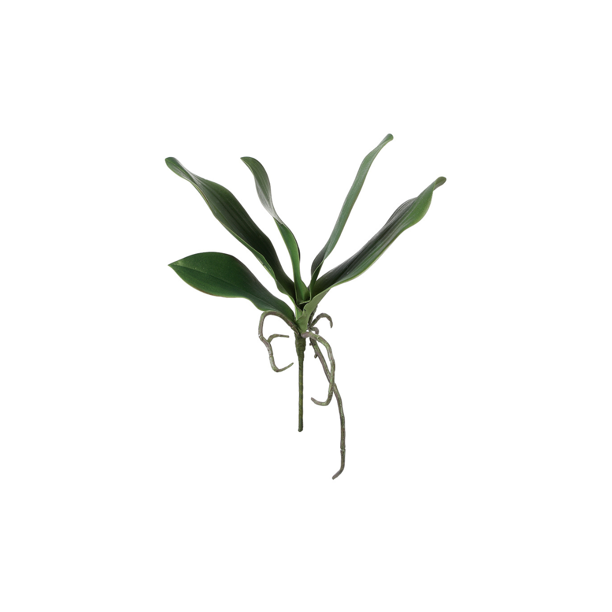 Sia Home Phalae feuillage artificiel vert 22 cm