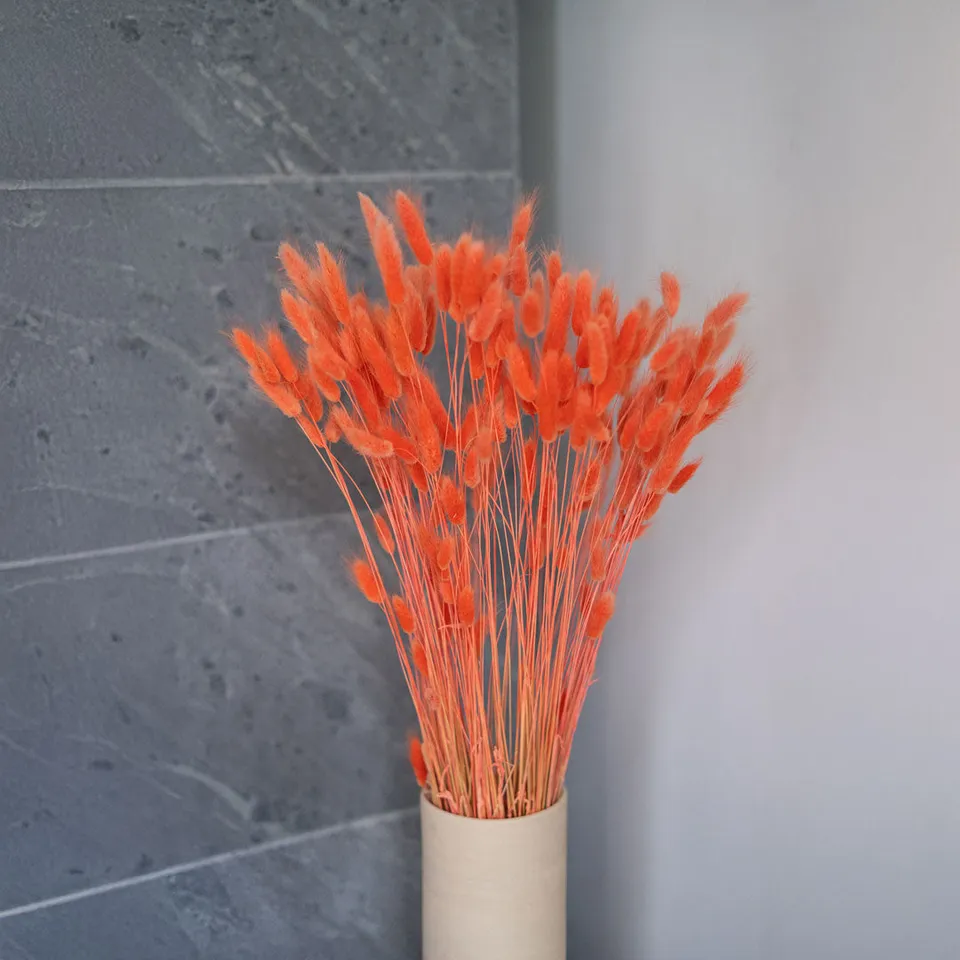 Flowrette lagurus orange fleur séchée botte duveteuse