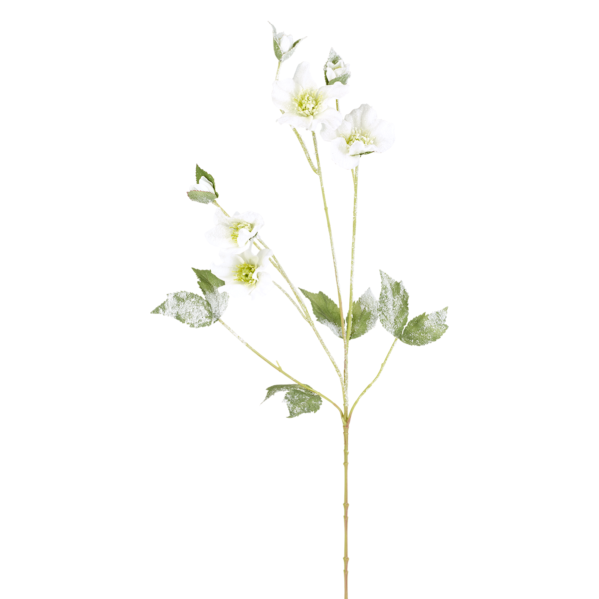 Sia Home Helleborus Tige Rose Noël 75 cm Rouge