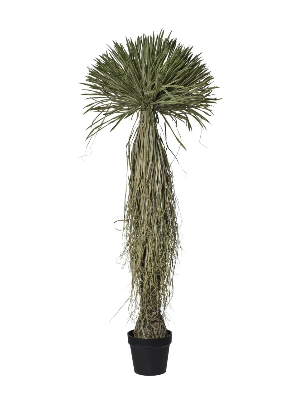 Feuillazur Rungis Arbre scarecrow artificiel plante décorative