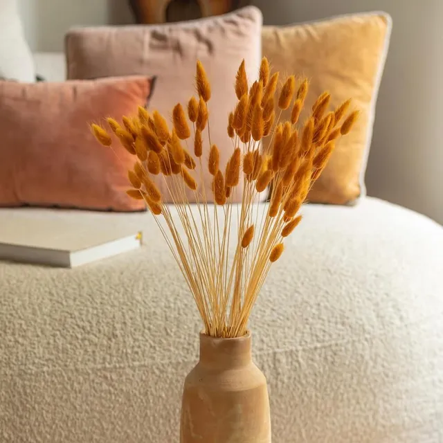 Flowrette Lagurus Terracotta botte fleurs séchées x1