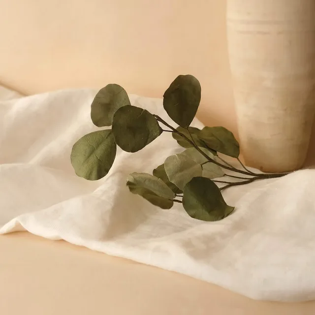 Flowrette eucalyptus populus fleur papier vert mélangé x1