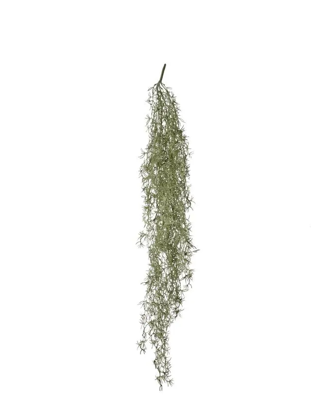 Feuillazur Rungis Tillandsia piquet vert 57x140 cm