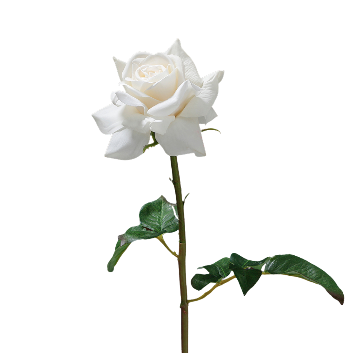 Sia Home Tiges de Fleurs artificielles Rose Dutchess 50 cm rouge