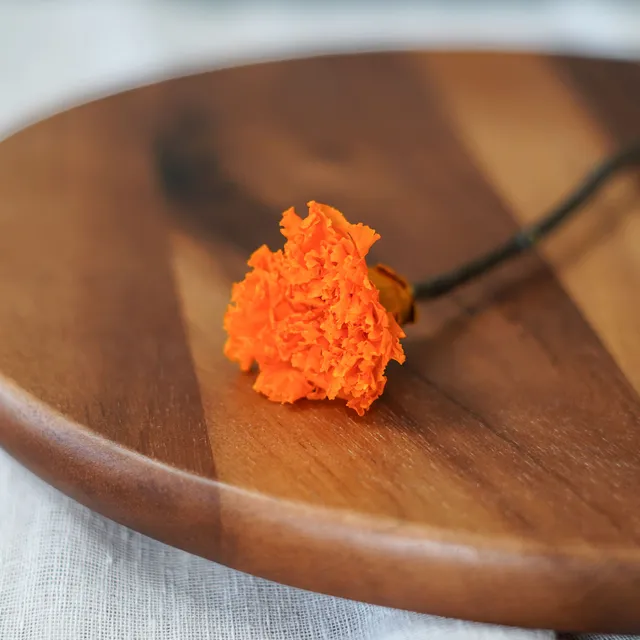 Flowrette Stabilisées Oeillet Orange x1 fleur naturelle