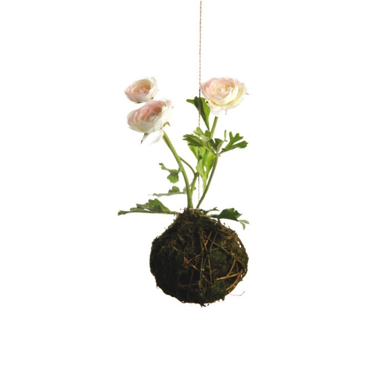 Sia Home Renoncules composition suspendue rose 25 cm