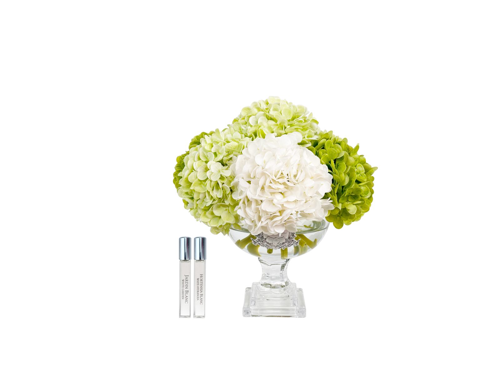 Côte Noire Hydrangeas bouquet hortensias vert medium PHB01M