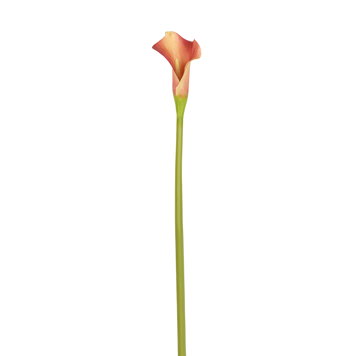 Sia Arum Kelly tige fleur artificielle orange 52 cm