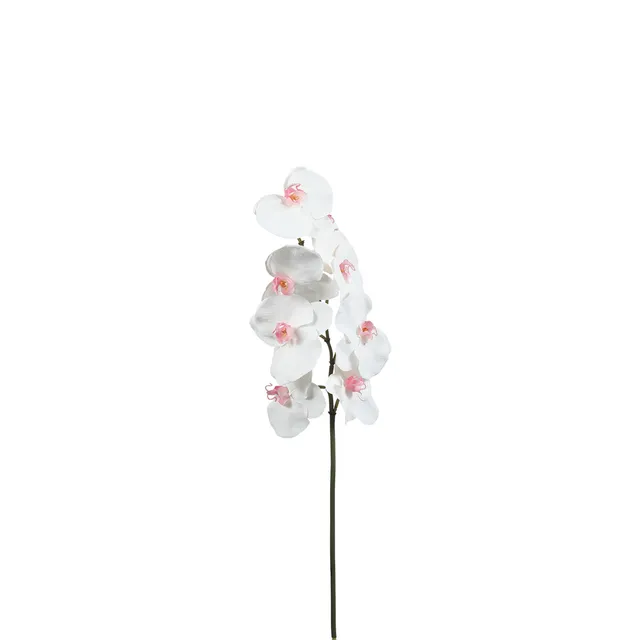 Sia Home Orchidée Phalaenopsis 60 cm tige artificielle blanc