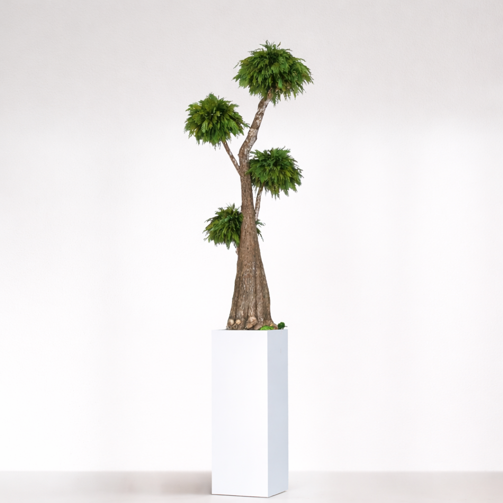 Ateliers Ouchamp Jumbo Thuja stabilisé 1m60