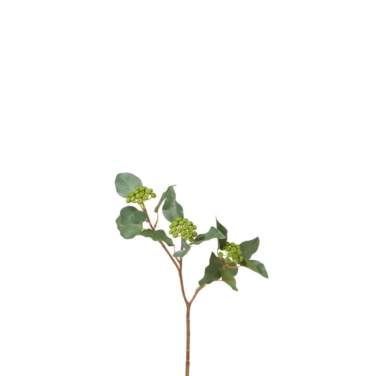 Sia Home Branche Baies Lierre branche 45 cm vert foncé