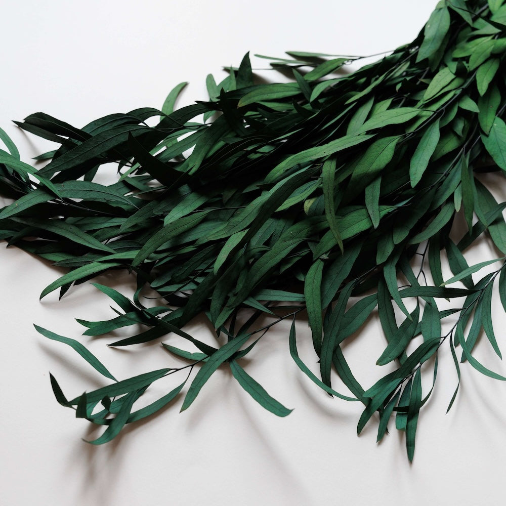Flowrette Fleurs stabilisées Eucalyptus Nicoli botte verte x1