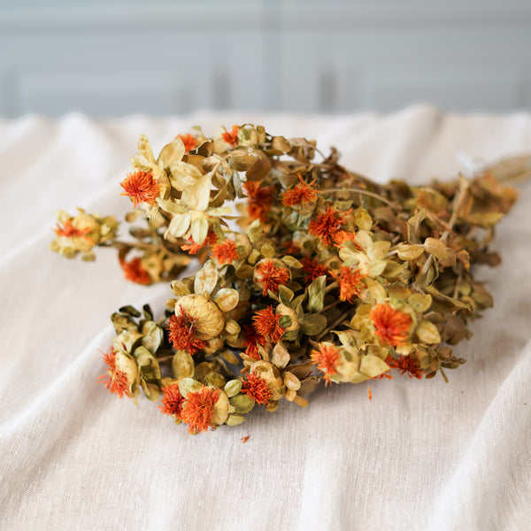 Flowrette Carthame botte fleurs séchées orange