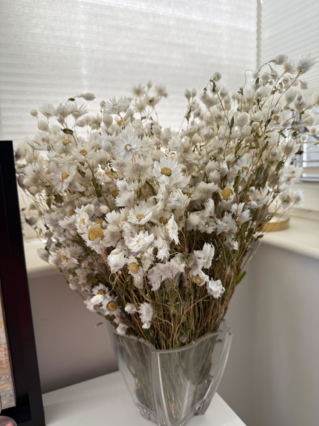 Flowrette Fleurs Séchées botte rhodanthe blanche