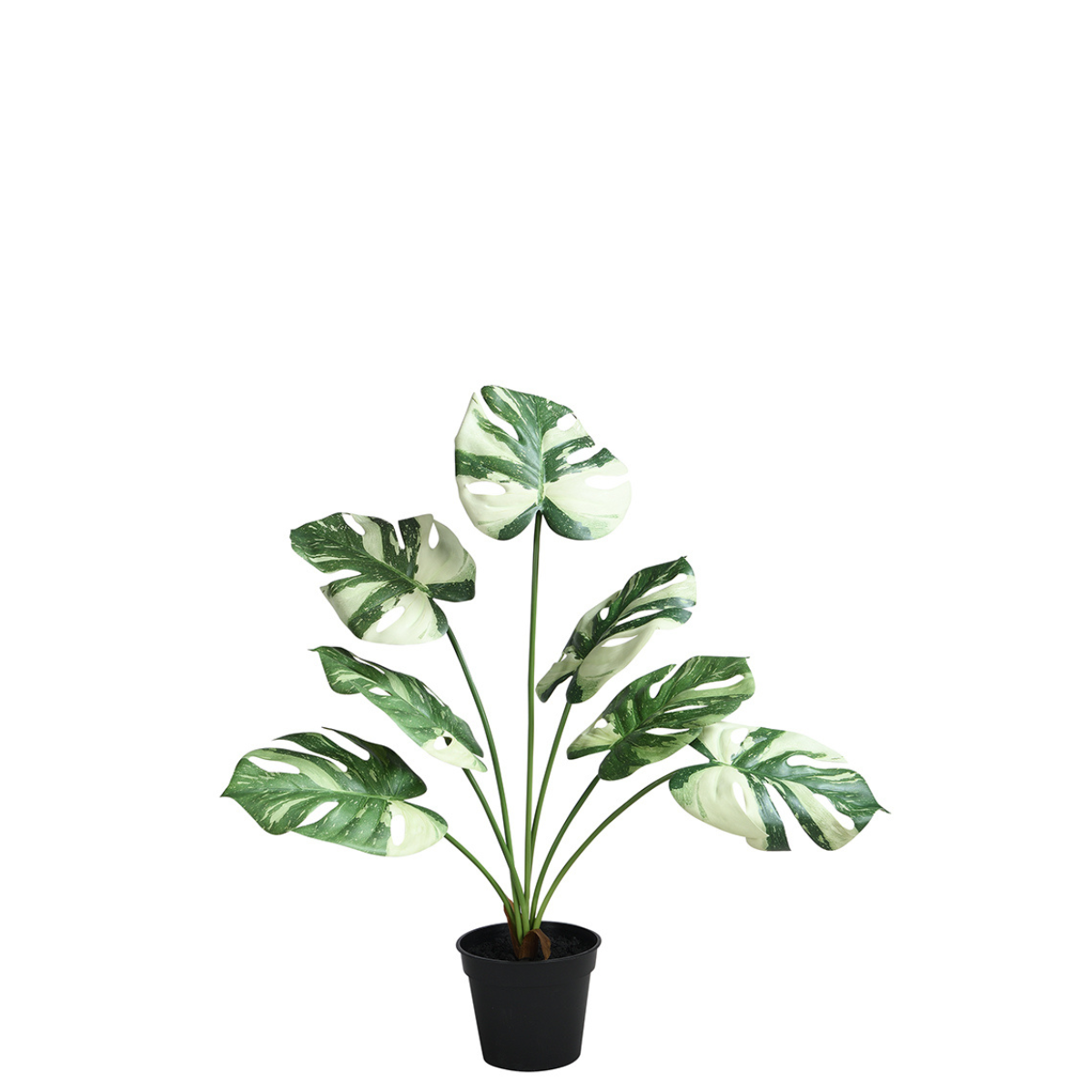 Sia Home Monstera en Pot 57 cm plante verte