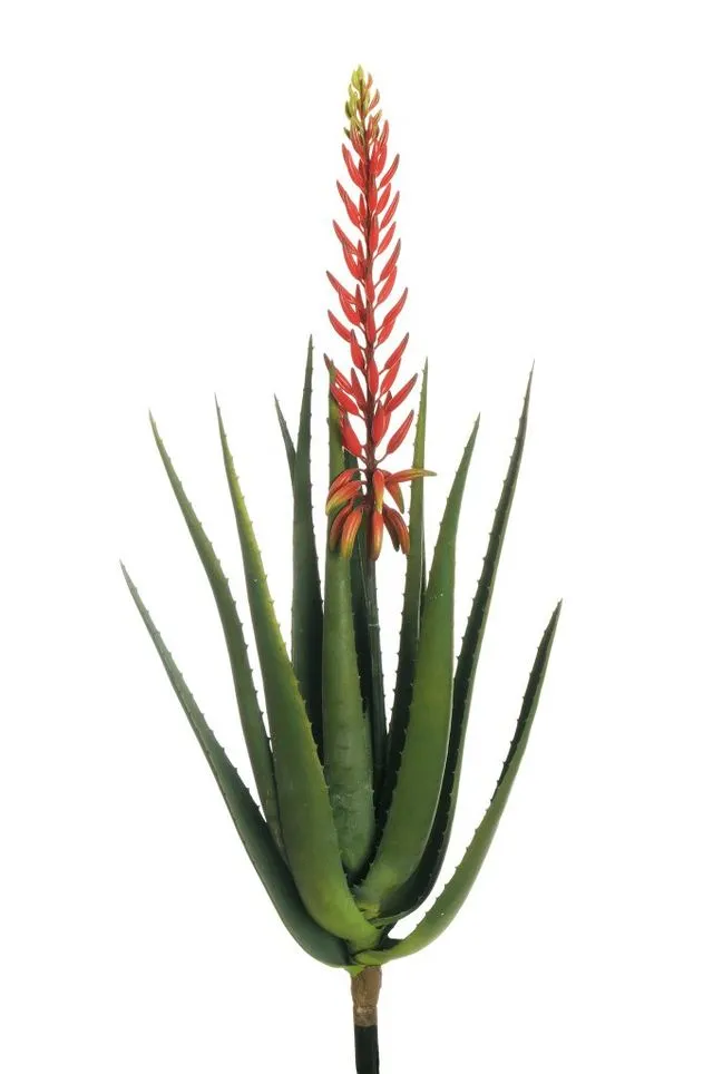 Feuillazur Rungis artificiels aloe vera artificiel vert 85cm