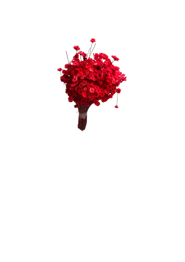 Feuillazur Rungis Glixia 30cm fleur séchée blanche bouquet