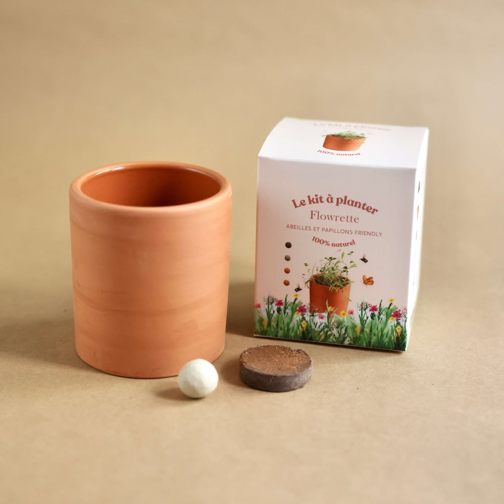 Flowrette Kit à planter pot céramique graines bio
