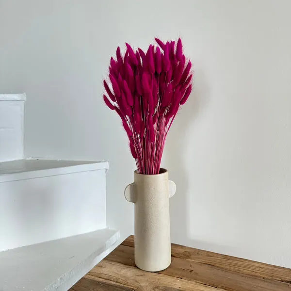 Flowrette Fleurs séchées Lagurus magenta botte rose