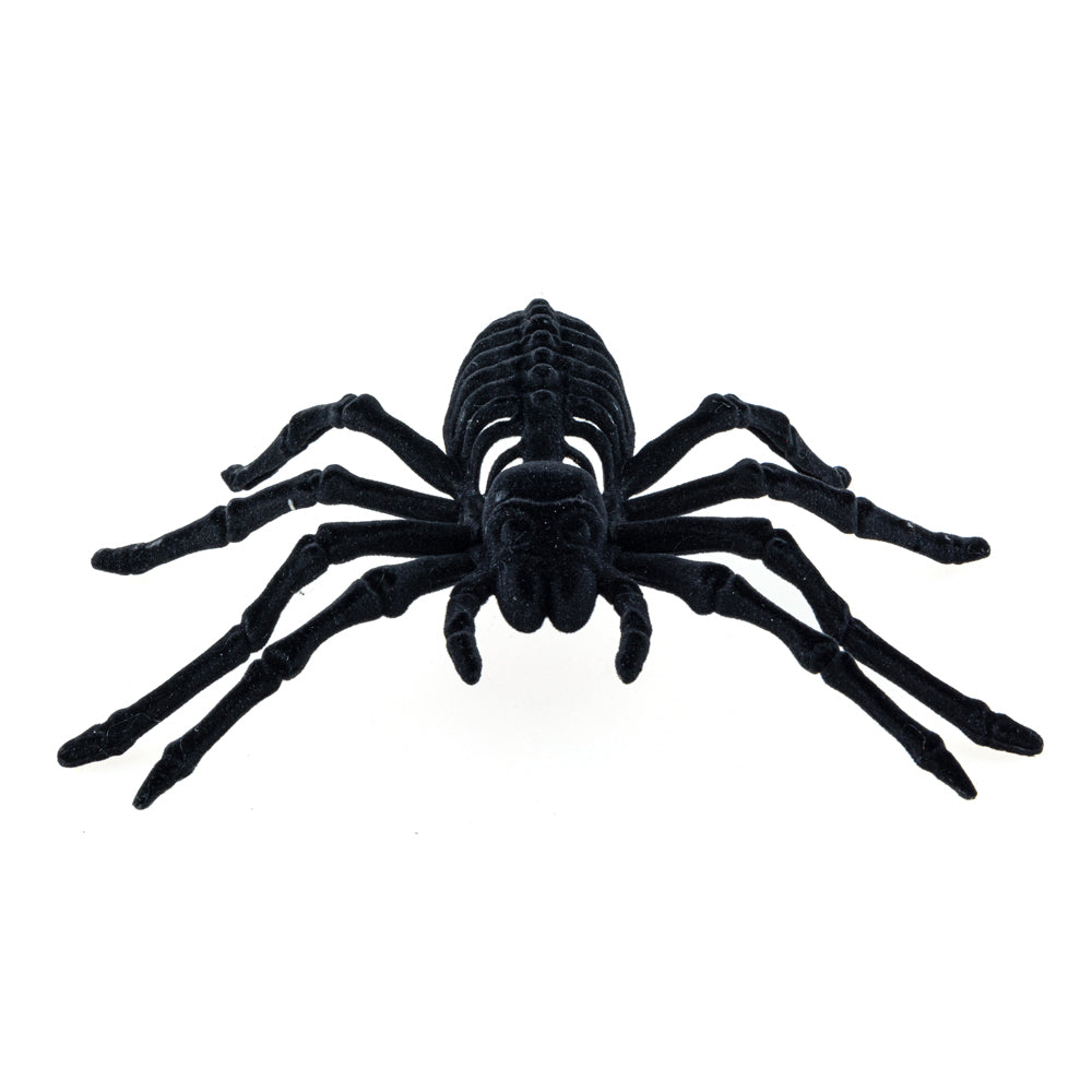 Feuillazur Rungis Araignée squelette déco Halloween noire