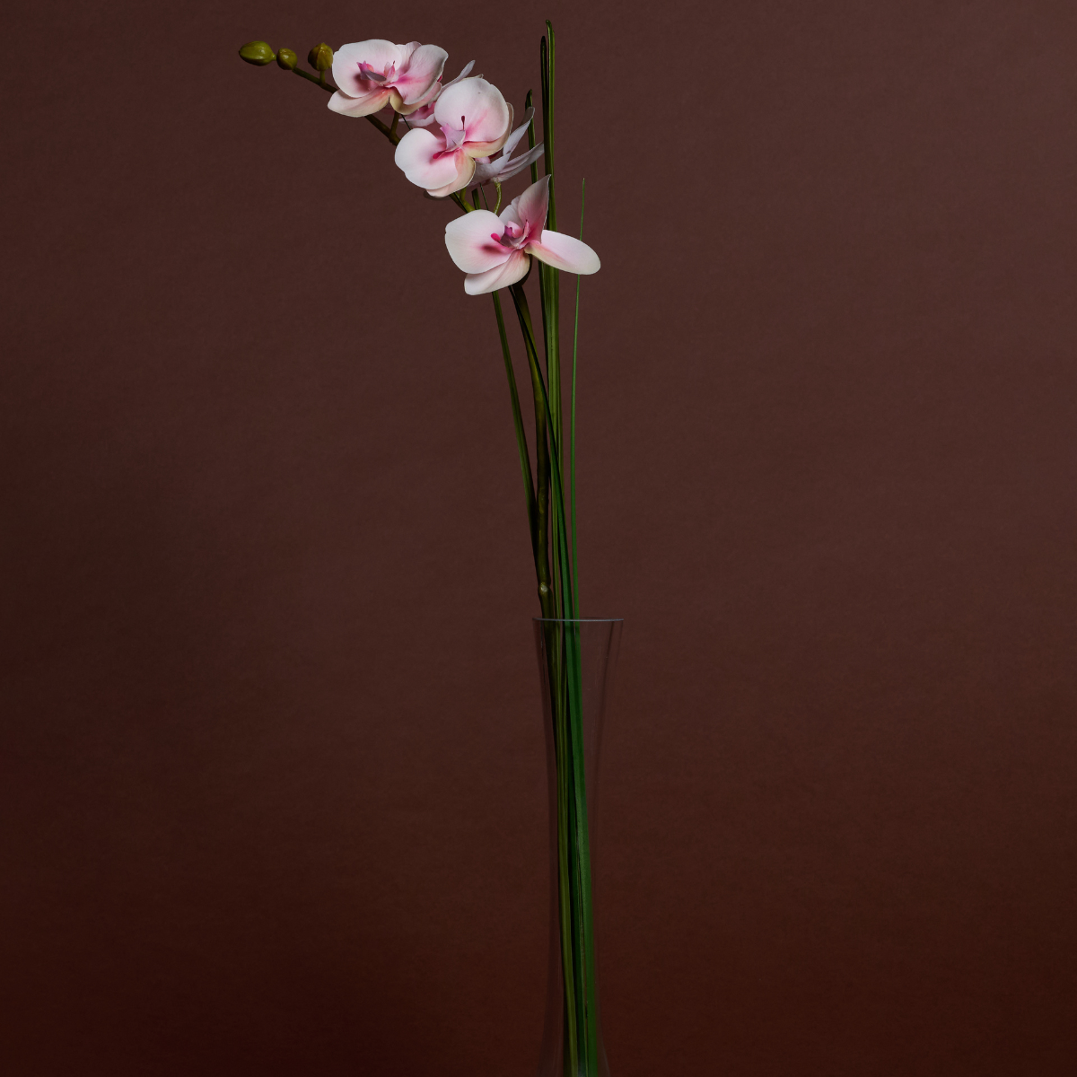Sia Home Bouquets Artificiels Orchidée illusion eau crème 60 cm