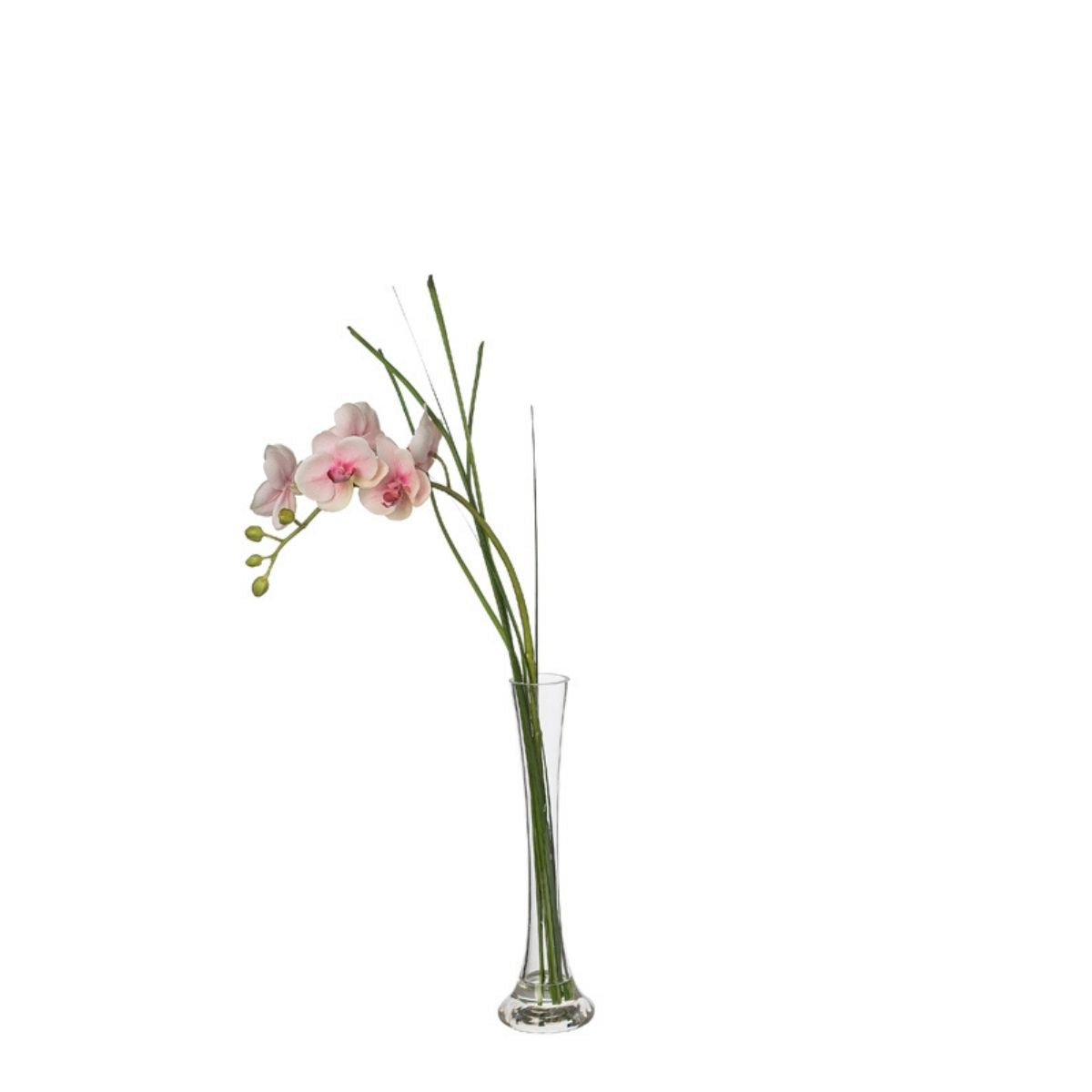 Sia Home Bouquets Artificiels Orchidée illusion eau crème 60 cm