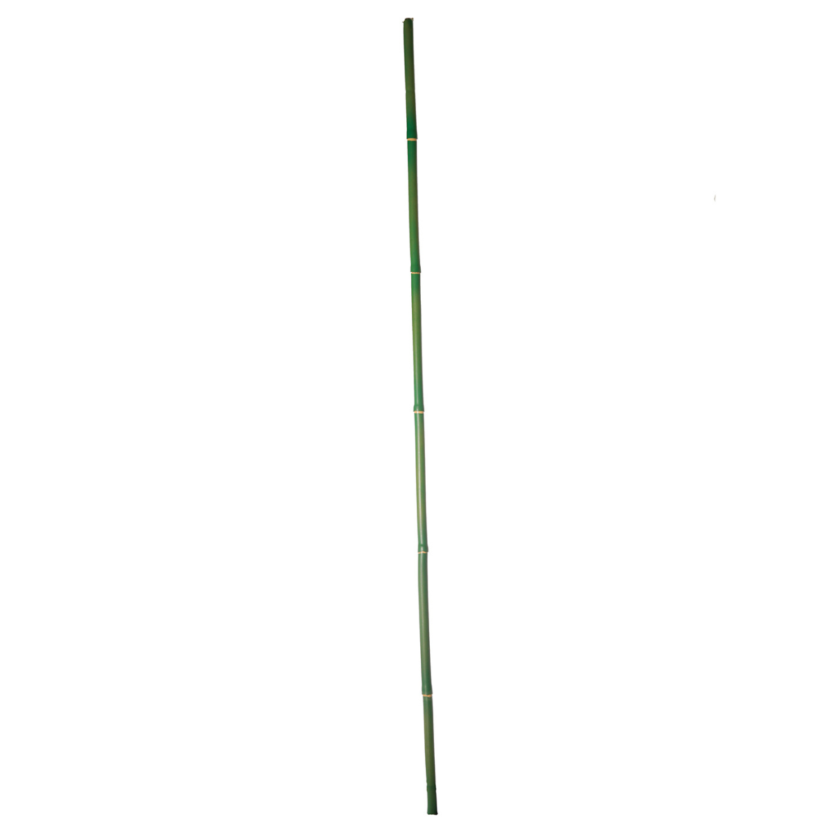 Sia Home Branche bambou artificiel vert 120 cm