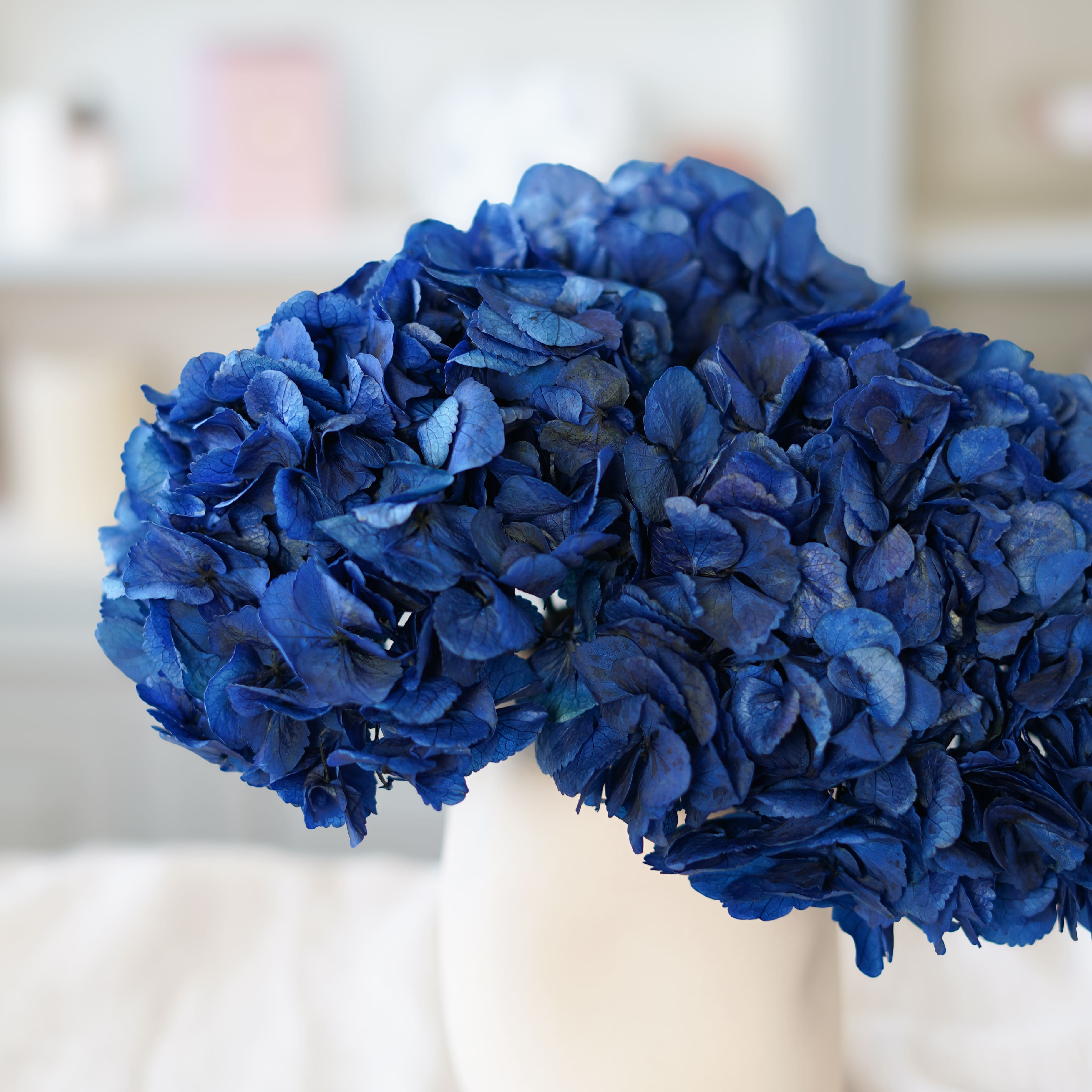Flowrette Hortensia Bleu fleur stabilisée x1 volume